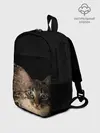 Рюкзак детский / Disintegrating Cat