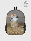 Рюкзак детский / Земляной кошак с расенганом