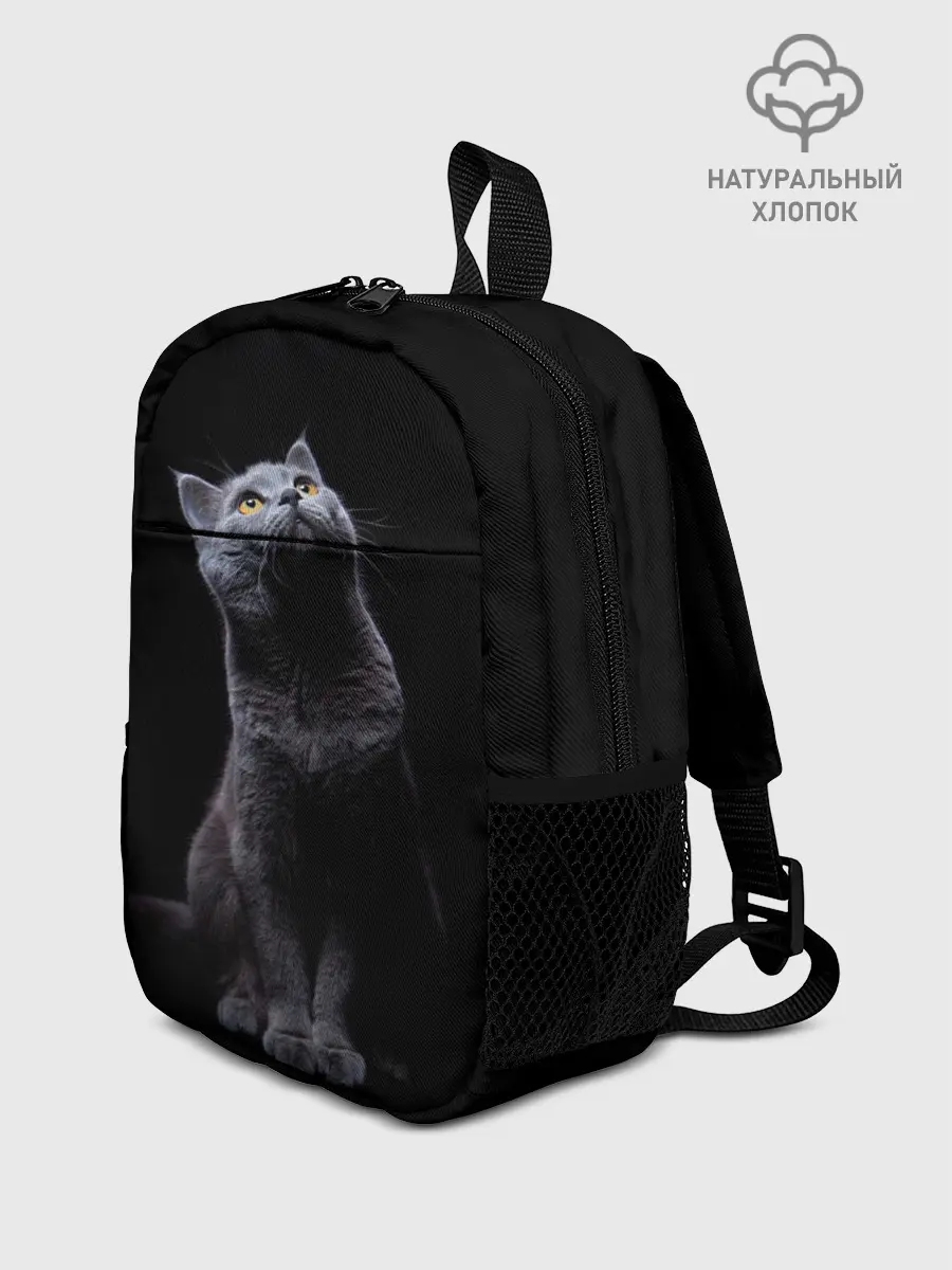 Рюкзак детский / Кот Британец