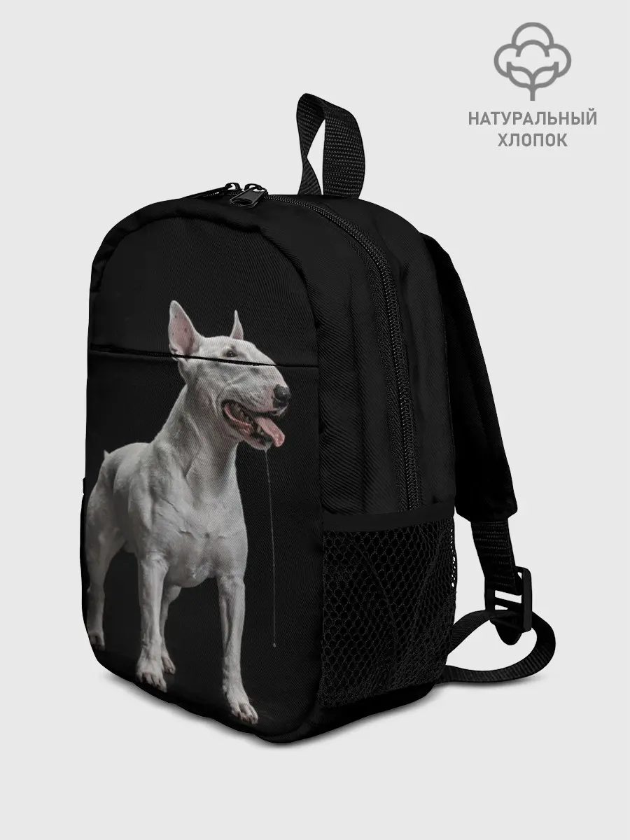 Рюкзак детский / Bully