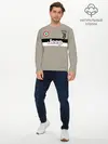 Мужской лонгслив базовый / Гостевая форма Роналду Ювентус (P007_P004ooo1564271, P004ooo1564271)