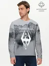 Мужской лонгслив базовый / TES V SKYRIM (P007_P004ooo1572319, P004ooo1572319)