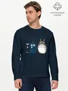 Мужской лонгслив базовый / Тоторо и Тардис (P007_P004ooo1590929, P004ooo1590929)