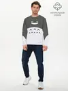 Мужской лонгслив базовый / Большой Тоторо (P007_P004ooo1591043, P004ooo1591043)