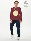 Мужской лонгслив базовый / Я - Тоторо (P007_P004ooo1594573, P004ooo1594573)