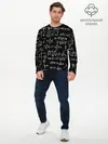 Мужской лонгслив базовый / ФОРМУЛЫ АЛГЕБРА (P007_P004ooo1606345, P004ooo1606345)