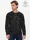Мужской лонгслив базовый / ФОРМУЛЫ АЛГЕБРА (P007_P004ooo1606347, P004ooo1606347)