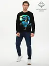 Мужской лонгслив базовый / Pokemon art (P007_P004ooo1607561, P004ooo1607561)