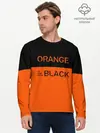 Мужской лонгслив базовый / Orange Is the New Black (P007_P004ooo1608401, P004ooo1608401)