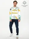 Мужской лонгслив базовый / Aloha Hawaii (P007_P004ooo1608729, P004ooo1608729)