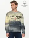 Мужской лонгслив базовый / The Witcher 3: Wild Hunt (P007_P004ooo1610783, P004ooo1610783)