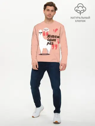 Мужской лонгслив базовый / Действуй детка (P007_P004ooo1623215, P004ooo1623215)