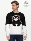 Мужской лонгслив базовый / Kumamon повис (P007_P004ooo1625477, P004ooo1625477)