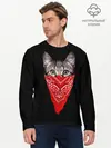 Мужской лонгслив базовый / Gangsta Cat (P007_P004ooo1626861, P004ooo1626861)