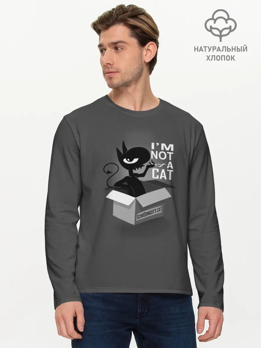 Мужской лонгслив базовый / Disenchantment. Im not a Cat (P007_P004ooo1628429, P004ooo1628429)