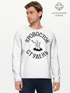 Мужской лонгслив базовый / Кровосток - Студень (P007_P004ooo1630341, P004ooo1630341)