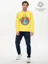 Мужской лонгслив базовый / Homer Fallout (P007_P004ooo1630469, P004ooo1630469)