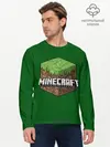 Мужской лонгслив базовый / Minecraft (P007_P004ooo1631347, P004ooo1631347)