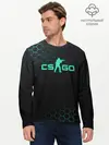 Мужской лонгслив базовый / Counter-Strike (P007_P004ooo1631117, P004ooo1631117)