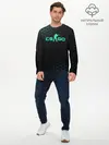 Мужской лонгслив базовый / Counter-Strike (P007_P004ooo1631117, P004ooo1631117)