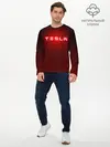Мужской лонгслив базовый / TESLA (P007_P004ooo1636329, P004ooo1636329)