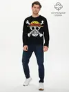Мужской лонгслив базовый / One piece words флаг (P007_P004ooo1641659, P004ooo1641659)