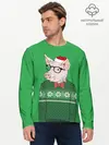 Мужской лонгслив базовый / New Year Hipster Pig (P007_P004ooo1640485, P004ooo1640485)