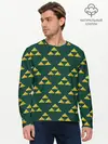 Мужской лонгслив базовый / THE LEGEND OF ZELDA (P007_P004ooo1643333, P004ooo1643333)