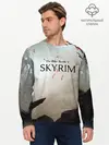 Мужской лонгслив базовый / The Elder Scrolls SKYRIM 5 (P007_P004ooo1644195, P004ooo1644195)