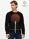 Мужской лонгслив базовый / Falcon Heavy (P007_P004ooo1646281, P004ooo1646281)