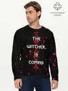 Мужской лонгслив базовый / The Witcher Is Coming (P007_P004ooo1647781, P004ooo1647781)