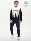 Мужской лонгслив базовый / Dying Light 2 (P007_P004ooo1647327, P004ooo1647327)