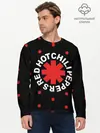 Мужской лонгслив базовый / Red Hot Chili Peppers (P007_P004ooo1650813, P004ooo1650813)