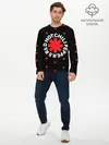 Мужской лонгслив базовый / Red Hot Chili Peppers (P007_P004ooo1650813, P004ooo1650813)