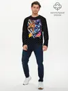 Мужской лонгслив базовый / Super Space Fox (P007_P004ooo1650261, P004ooo1650261)