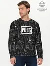 Мужской лонгслив базовый / PUBG (P007_P004ooo1654333, P004ooo1654333)