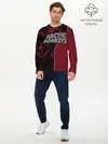Мужской лонгслив базовый / Arctic Monkeys (P007_P004ooo1654439, P004ooo1654439)