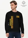 Мужской лонгслив базовый / PUBG / ПАБГ (P007_P004ooo1657443, P004ooo1657443)