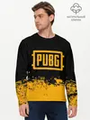Мужской лонгслив базовый / PUBG (P007_P004ooo1657515, P004ooo1657515)