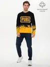 Мужской лонгслив базовый / PUBG (P007_P004ooo1657515, P004ooo1657515)