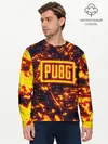 Мужской лонгслив базовый / PUBG (P007_P004ooo1662787, P004ooo1662787)