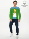 Мужской лонгслив базовый / Гомер Симпсон в кустах (P007_P004ooo1665211, P004ooo1665211)