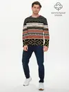 Мужской лонгслив базовый / Этническая африка (P007_P004ooo1671877, P004ooo1671877)