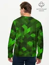 Мужской лонгслив базовый / MINECRAFT 2019 (P007_P004ooo1671767, P004ooo1671767)