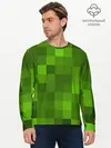 Мужской лонгслив базовый / Minecraft (P007_P004ooo1671823, P004ooo1671823)