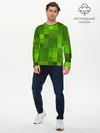 Мужской лонгслив базовый / Minecraft (P007_P004ooo1671823, P004ooo1671823)