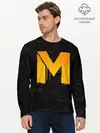 Мужской лонгслив базовый / METRO (P007_P004ooo1683019, P004ooo1683019)