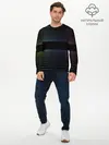 Мужской лонгслив базовый / Полоски (P007_P004ooo1693241, P004ooo1693241)
