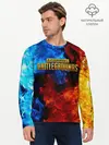 Мужской лонгслив базовый / PUBG (P007_P004ooo1694533, P004ooo1694533)