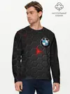 Мужской лонгслив базовый / Карбон и BMW (P007_P004ooo1696381, P004ooo1696381)